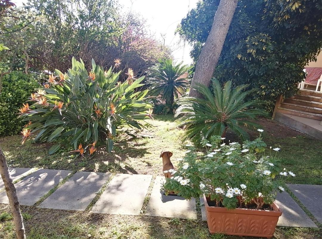 Luis&Susy Home, Cagliari Luaran gambar